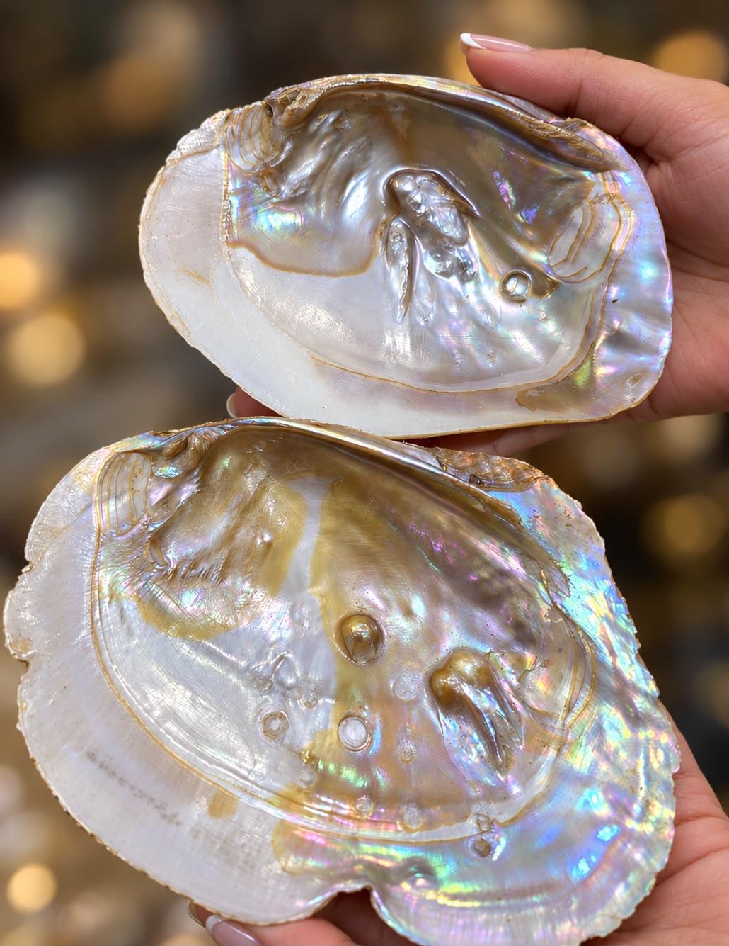 Natural pearls in their origin state — before selection, threading, or setting